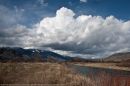 landscape120142609.jpg