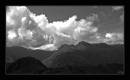 lang_130609_Jweb5_Mono_border.jpg
