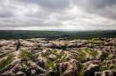 limestone_pavement.jpg
