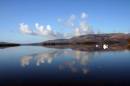 loch_lomond_reflections_small.jpg