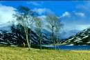 lochcallertjocksrd.jpg
