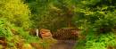 log_stacks.jpg