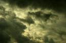 lone_bird_in_sky.jpg