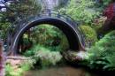 magical-bridge.jpg