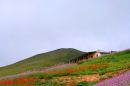 masal.jpg