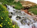 mineral_spring1.JPG