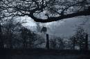 mists1.jpg