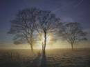 misty_morning1.jpg