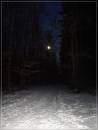 moon_and_snow_in_the_dark.jpg