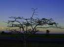 morning_moon_2_resize.jpg
