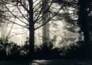 morningfog.jpg