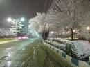 night_winter1.jpg