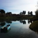 photo_3_1_.JPG