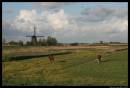 polder0120.jpg