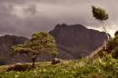 poolewe_slioch_30d.jpg