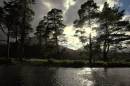 poolewe_through_the_trees.jpg