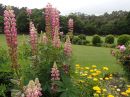 pretty_garden.jpg