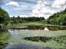 pysgodlyn_mawr_lake2_912_x_684_.jpg