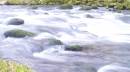 rapids_web1.jpg