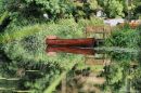 reflections11.jpg