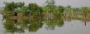 reflections_of_home.jpg