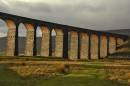 ribble6.jpg