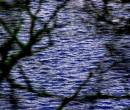 /gallery/data/2/thumbs/ripples_1.JPG