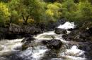 rivershiel.jpg