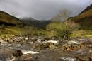 rivershiel1.jpg