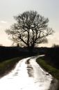 road4.jpg