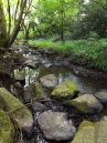 rock_pool_2_copy.jpg