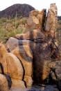 saguaro_shadow.JPG