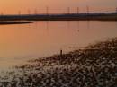 sealsunset2.jpg