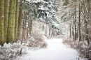 snow-03.jpg