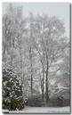 snow090207-050_copy.jpg