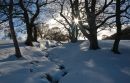 snow_walk_edited-1.jpg