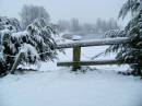 snowyfence.jpg