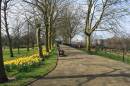 spring_in_the_park.jpg
