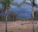 storm_1a.jpg