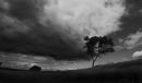 stormy_copy.jpg