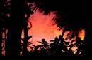 sunarise.jpg
