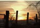 sunrise_sunday_14.jpg