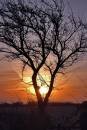 sunrise_sunday_3.jpg