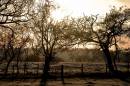 sunrise_sunday_9.jpg