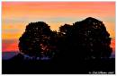 sunset12.jpg
