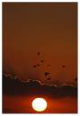 sunset15.jpg