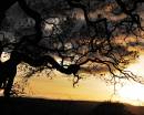 sunset18.jpg