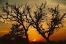 sunset48.jpg