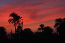 sunset_0967s.jpg