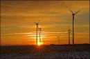 sunset_windfarm.jpg
